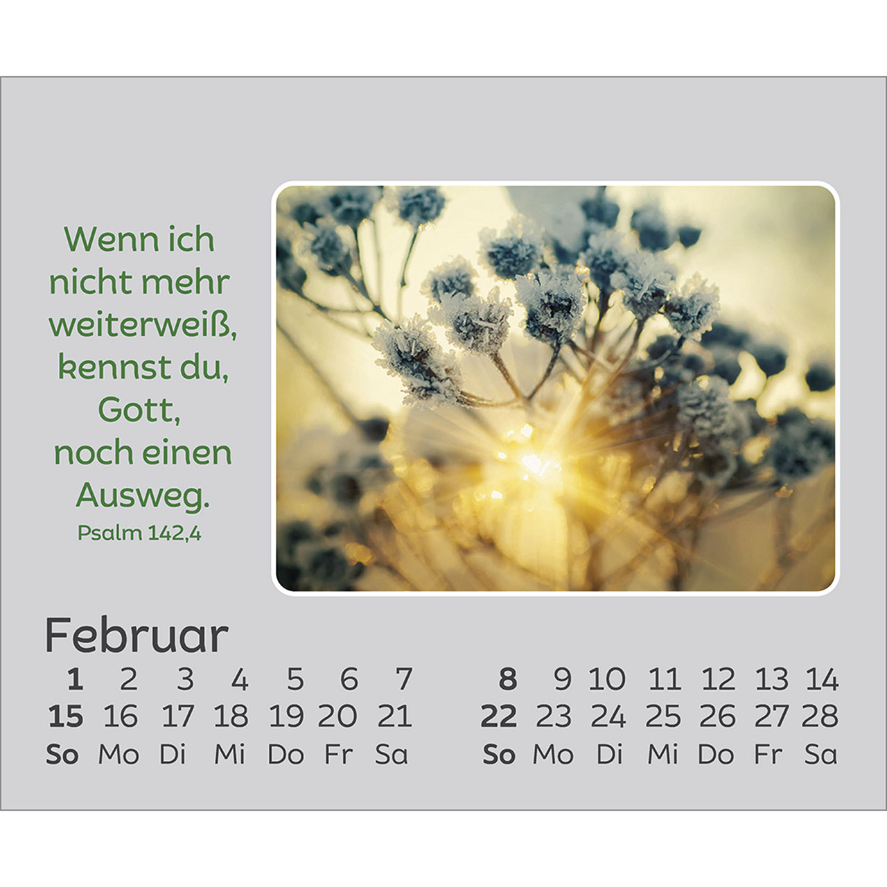 Tischkalender - Freude für jeden Tag 2026