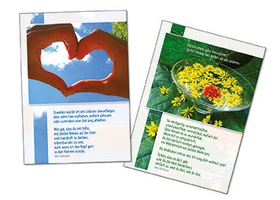 Spar-Paket: Freundschaft