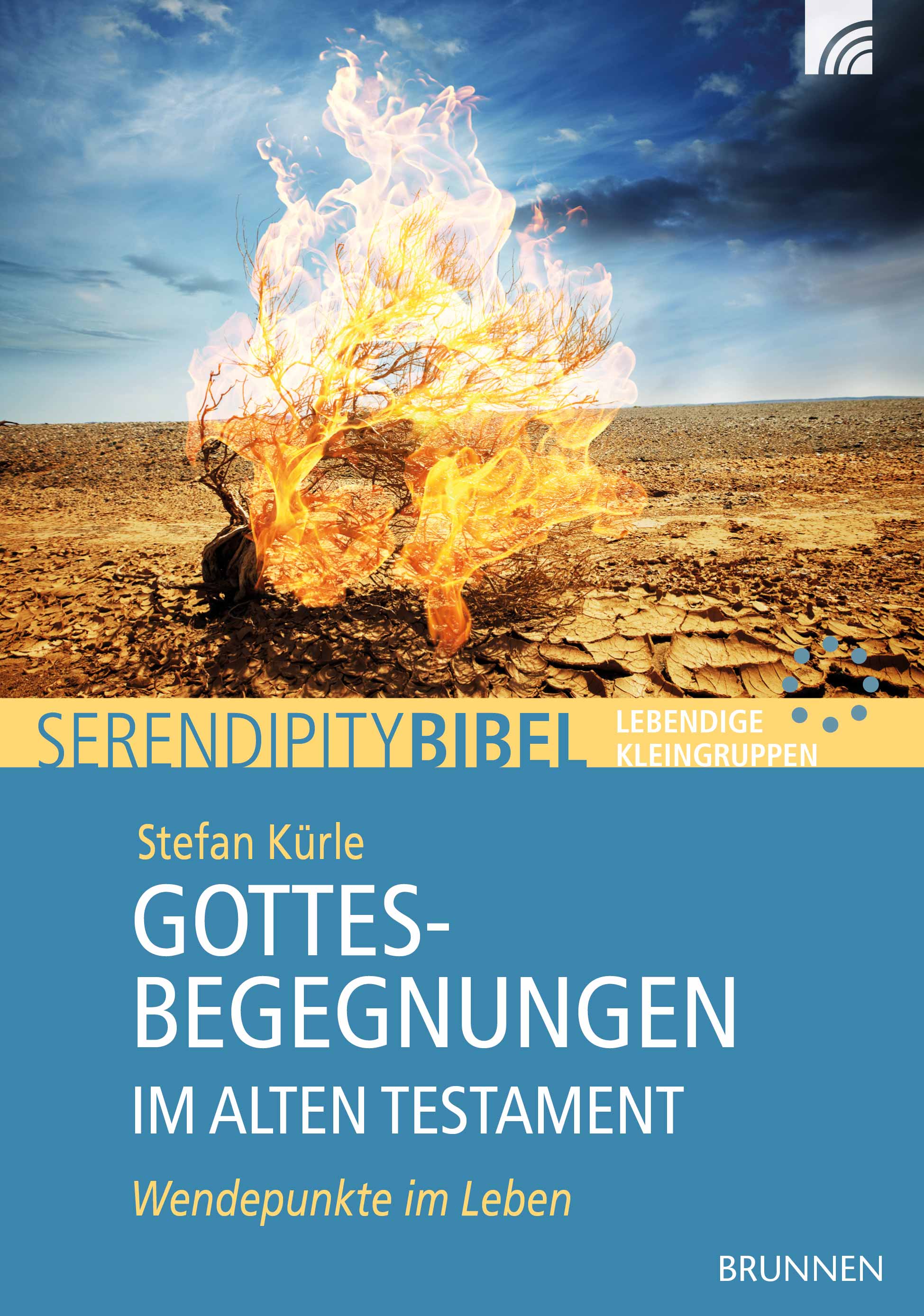 Gottesbegegnungen im Alten Testament Buch - Gottesbegegnungen im Alten Testament