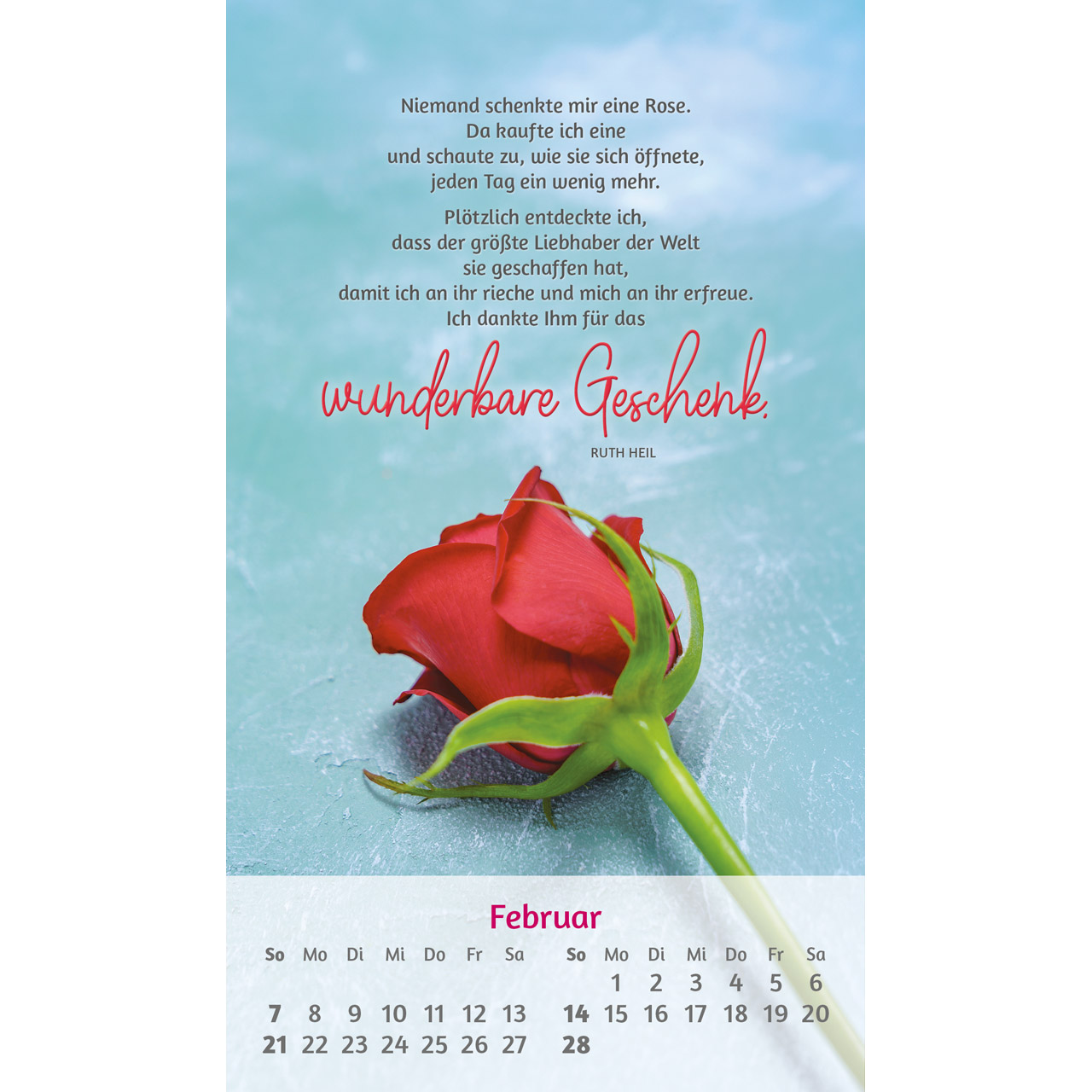Postkartenkalender - Du bist mir so wertvoll 2027