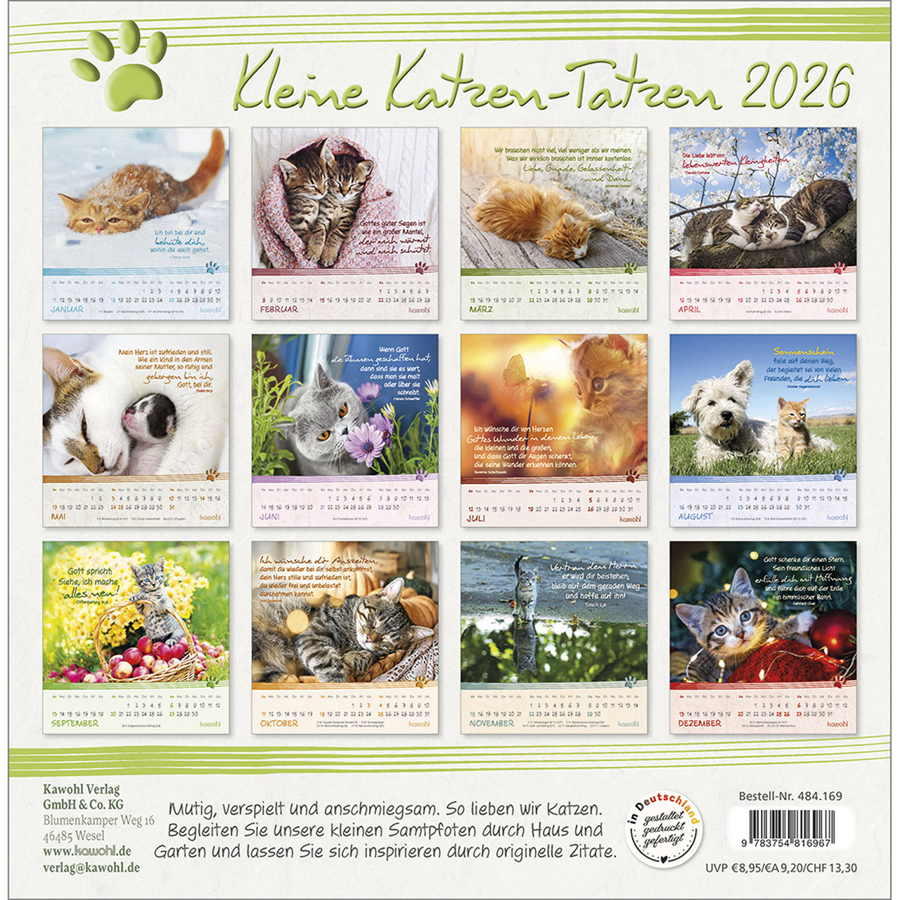 Postkartenkalender - Kleine Katzen-Tatzen 2026