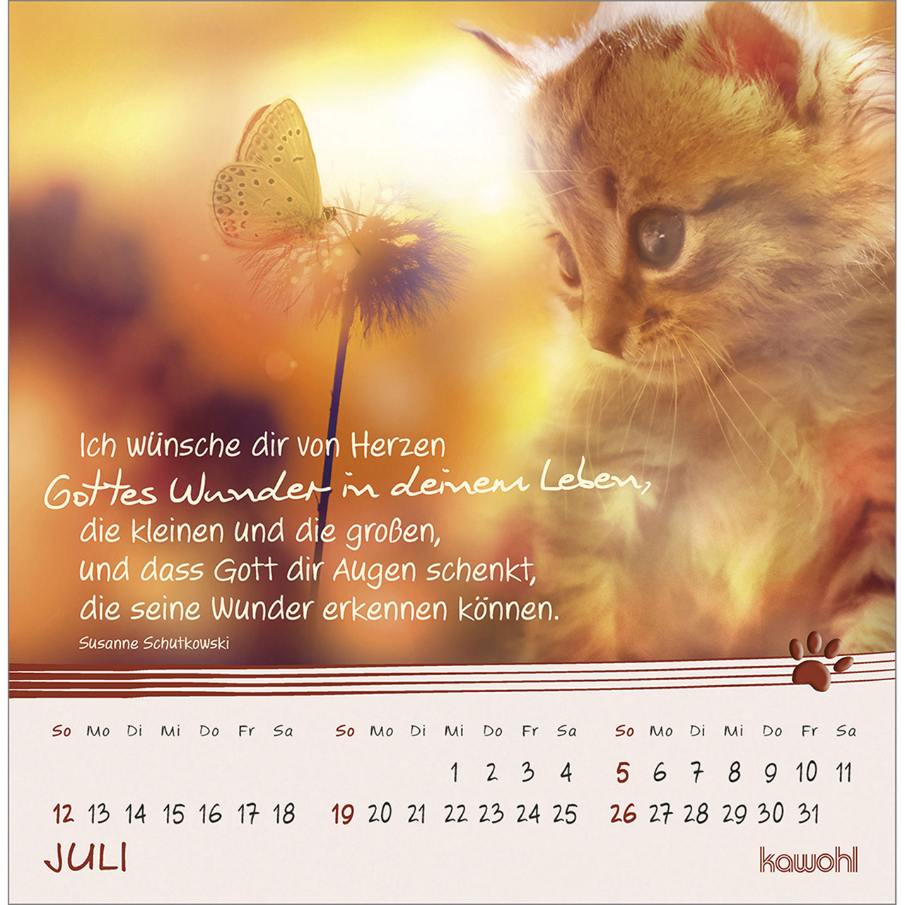 Postkartenkalender - Kleine Katzen-Tatzen 2026