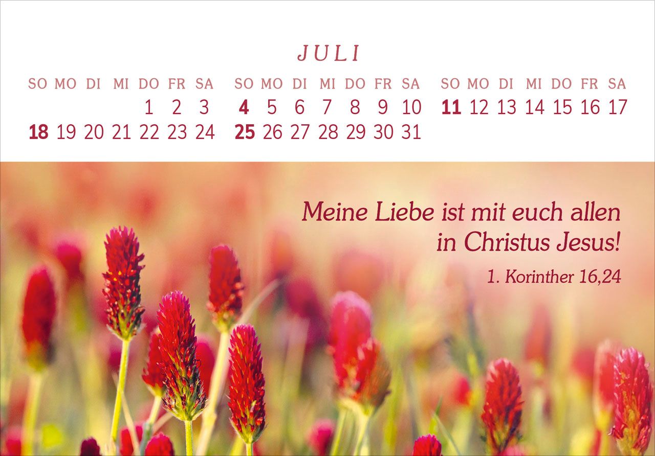 Panoramakalender - Das Geschenk der Freude 2027
