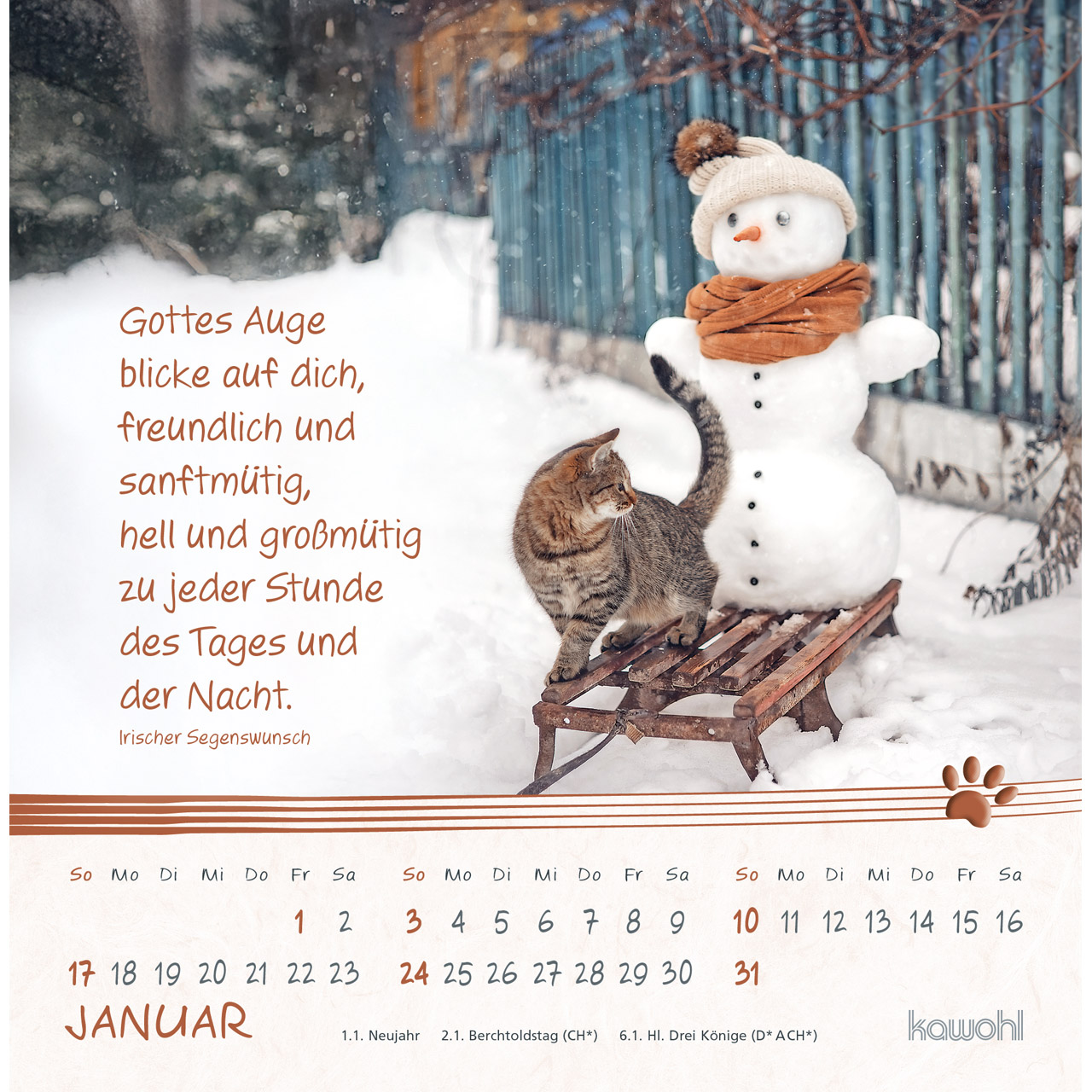 Postkartenkalender - Kleine Katzen-Tatzen 2027