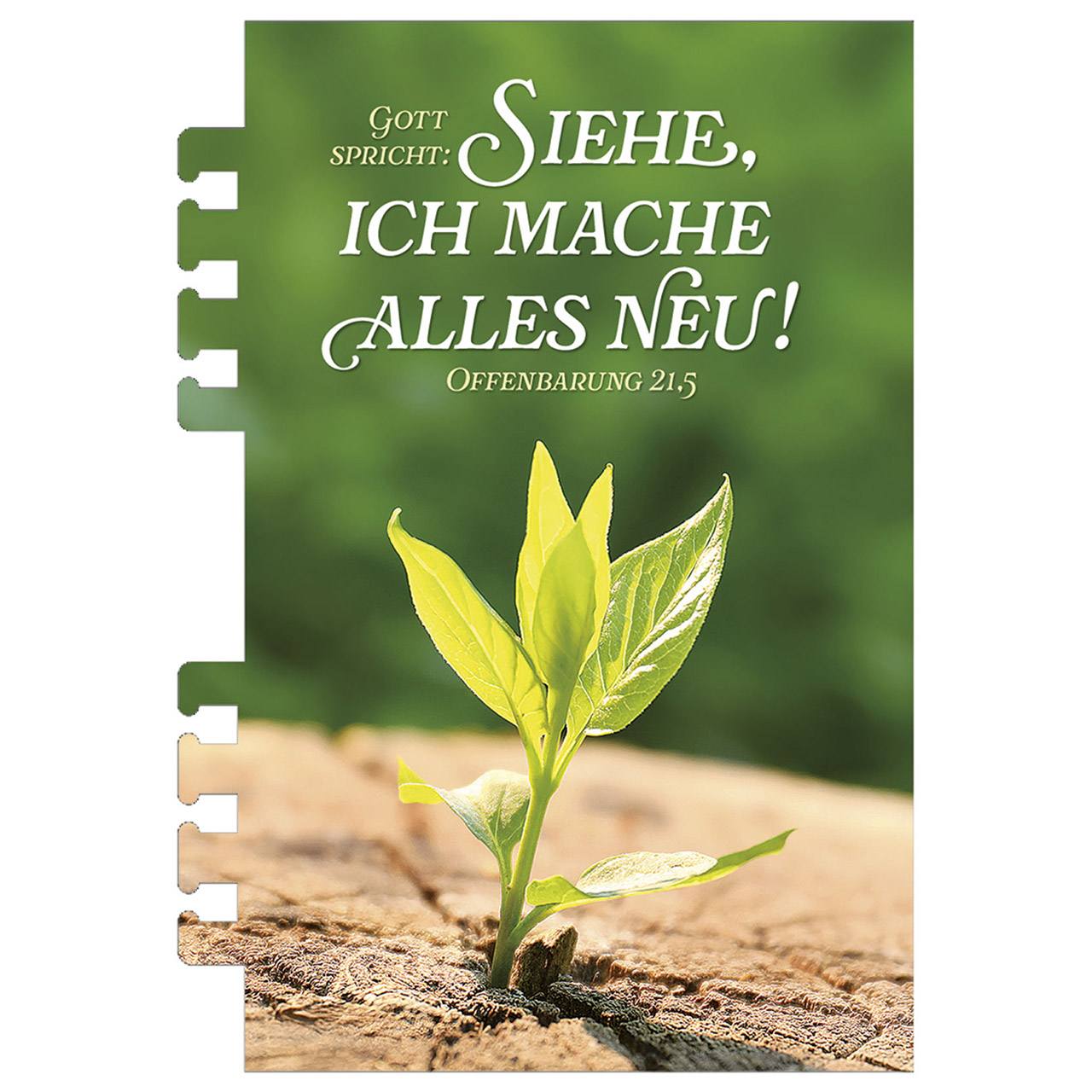 Terminkalender - Tage voller Licht 2026