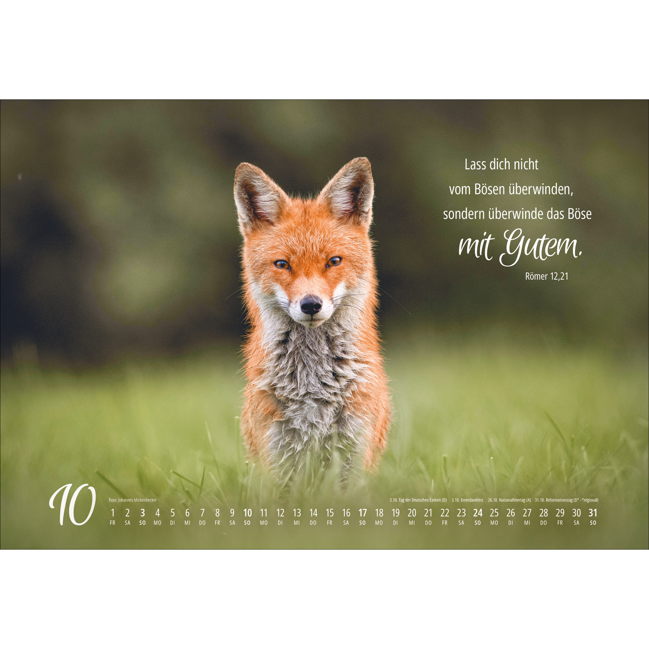 Wandkalender - Real Wildlife 2027