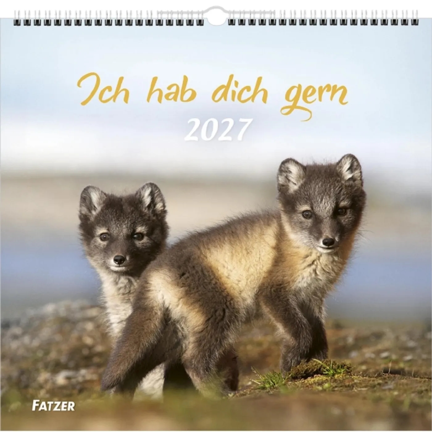 Wandkalender - Ich hab dich gern 2027
