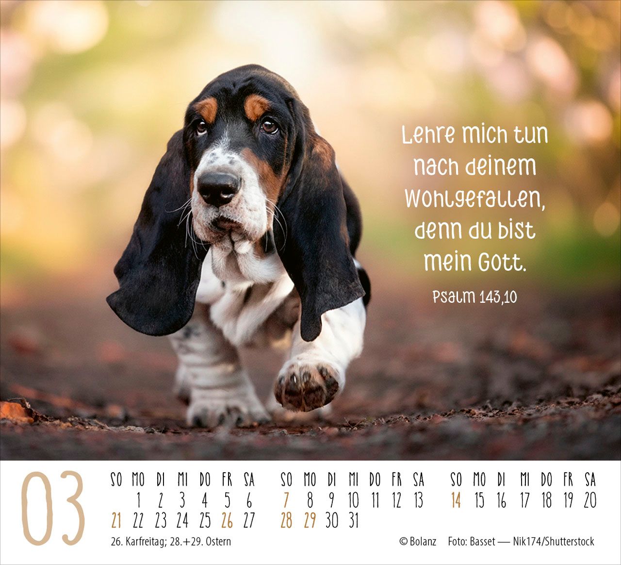 Aufstellkalender - Hunde 2027