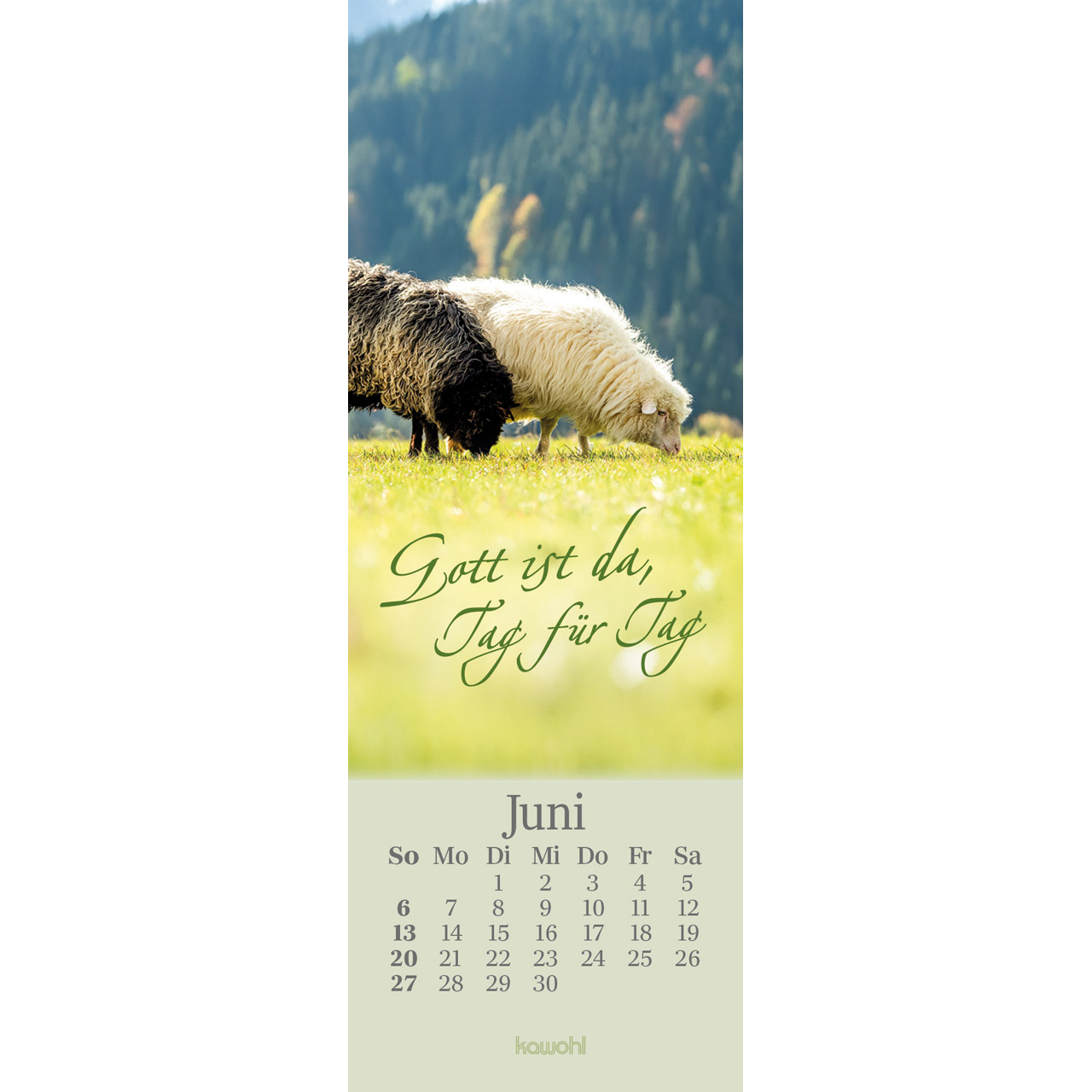 Lesezeichenkalender - Sei behütet jeden Tag 2027