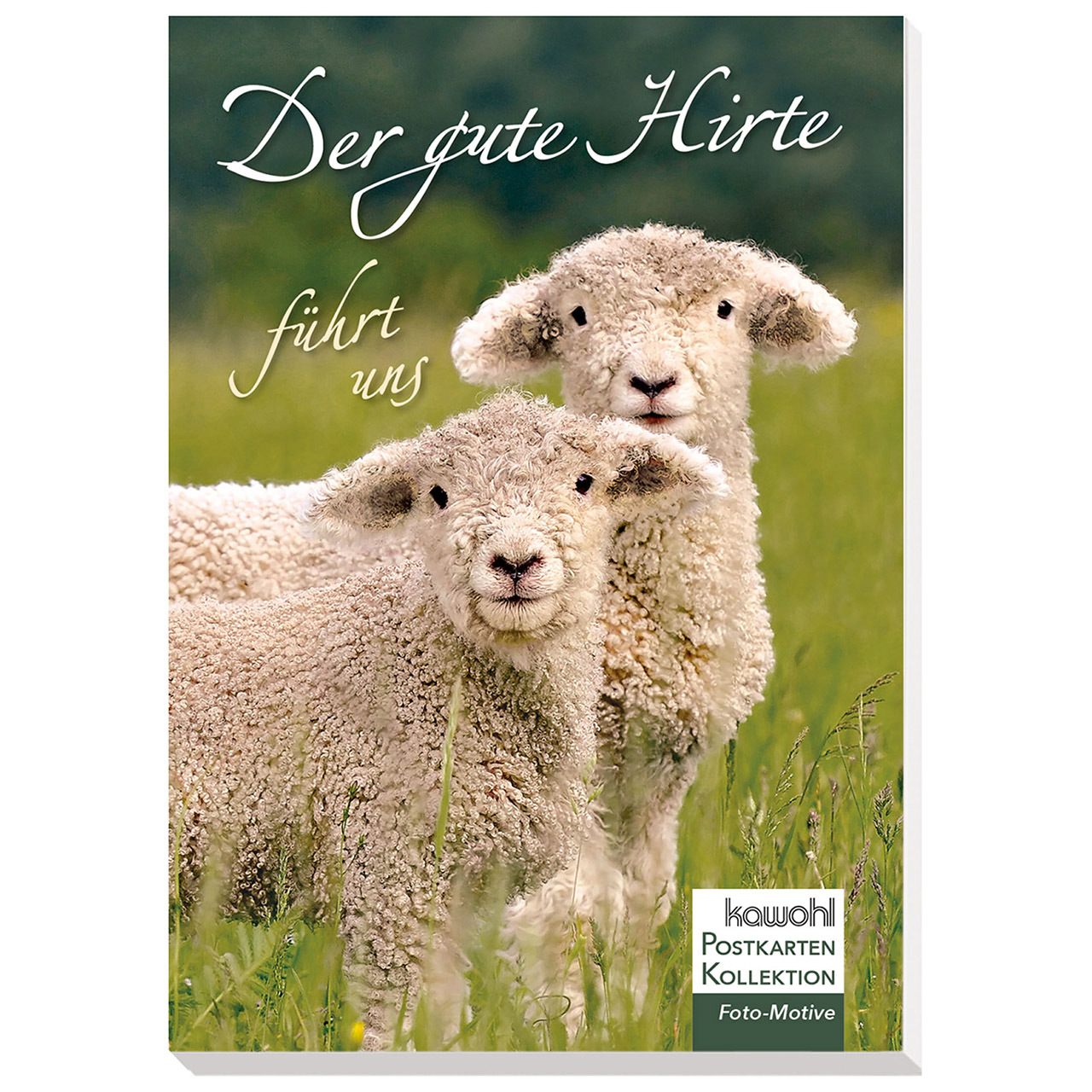 Der gute Hirte führt uns Postkarten-Buch - Der gute Hirte führt uns - Schafe / Lämmer