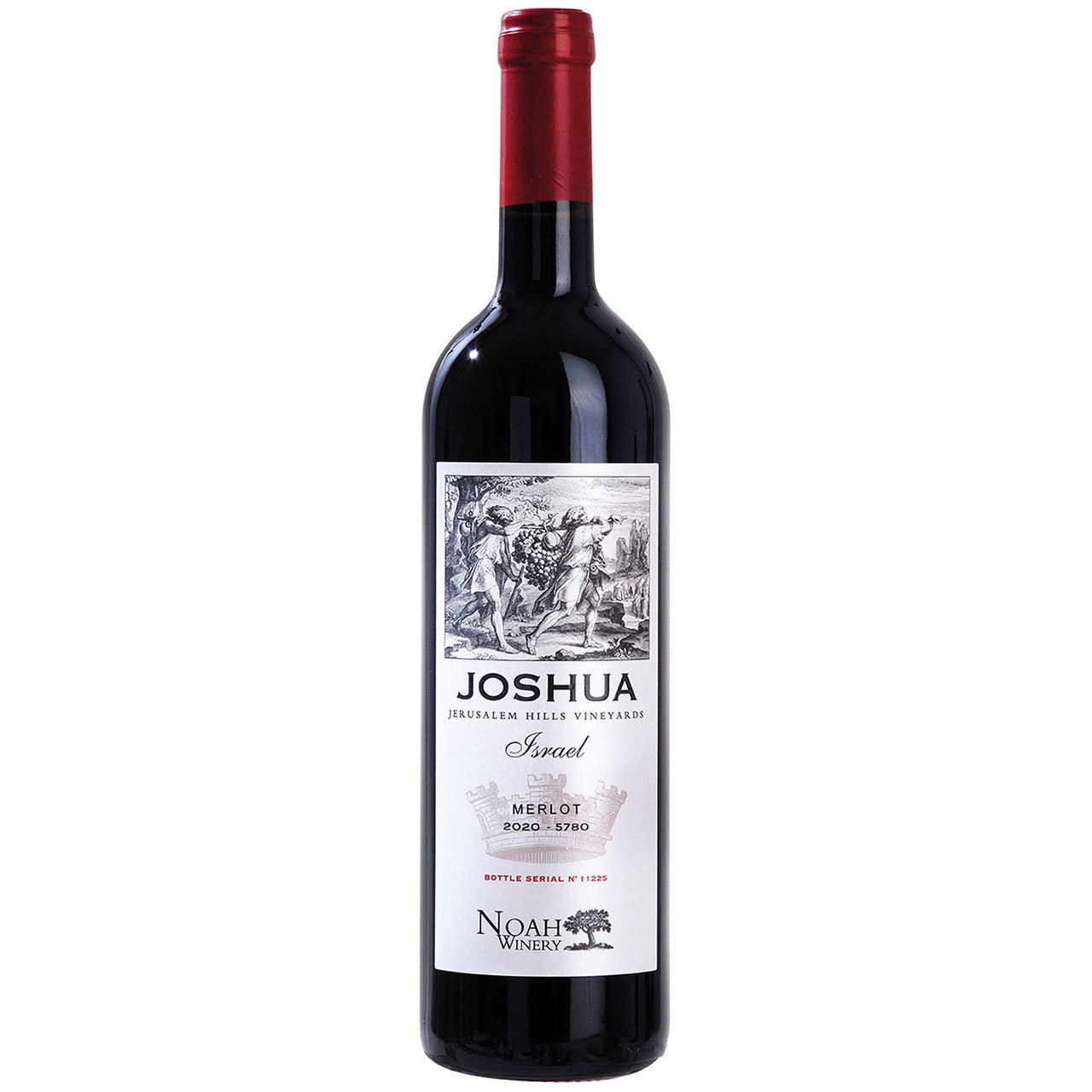 Noah Merlot