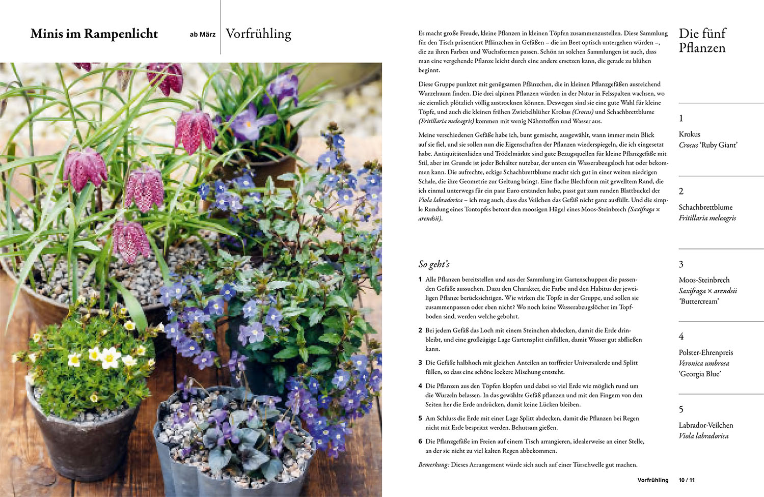 Buch - Einfach gestalten mit 5 Pflanzen