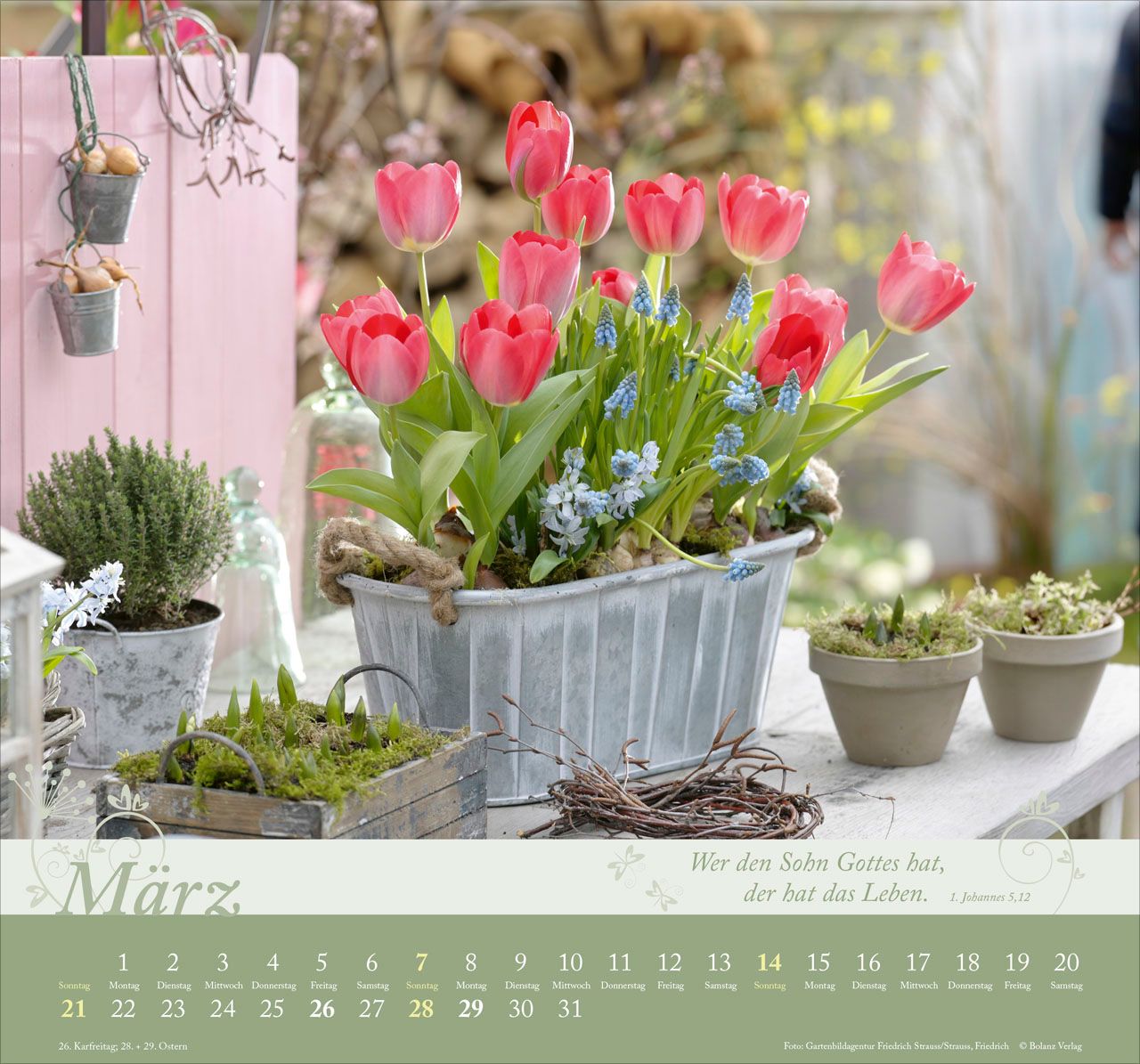 Wandkalender - Im Garten zuhause 2027 Wandkalender