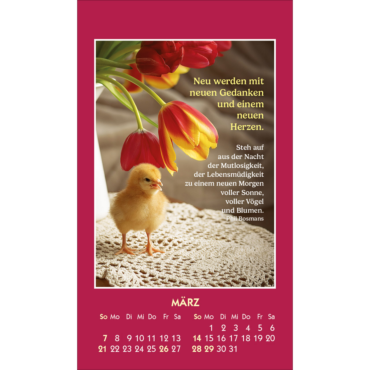 Aufkleberkalender - Gute Worte erhellen den Tag 2027
