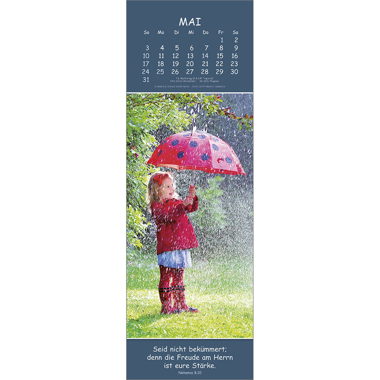 Wandkalender - Gedanken des Friedens 2026