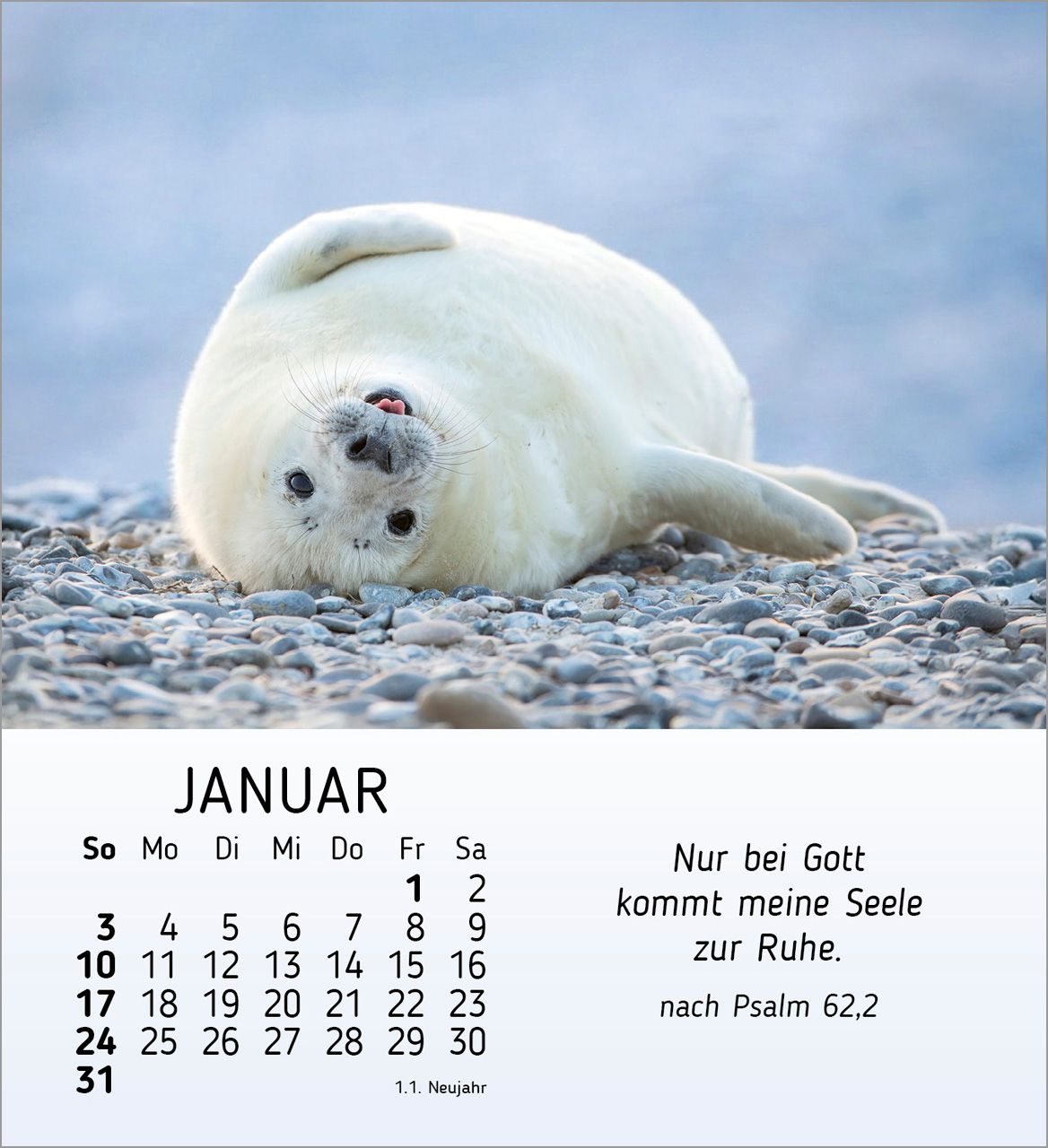 Tischkalender - Meine kleinen Freunde 2027