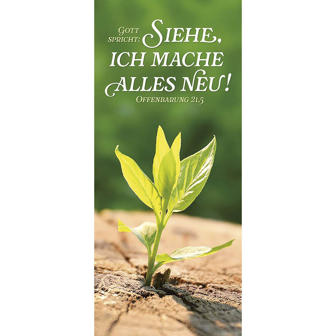 Gott spricht: Siehe, ich mache alles neu!