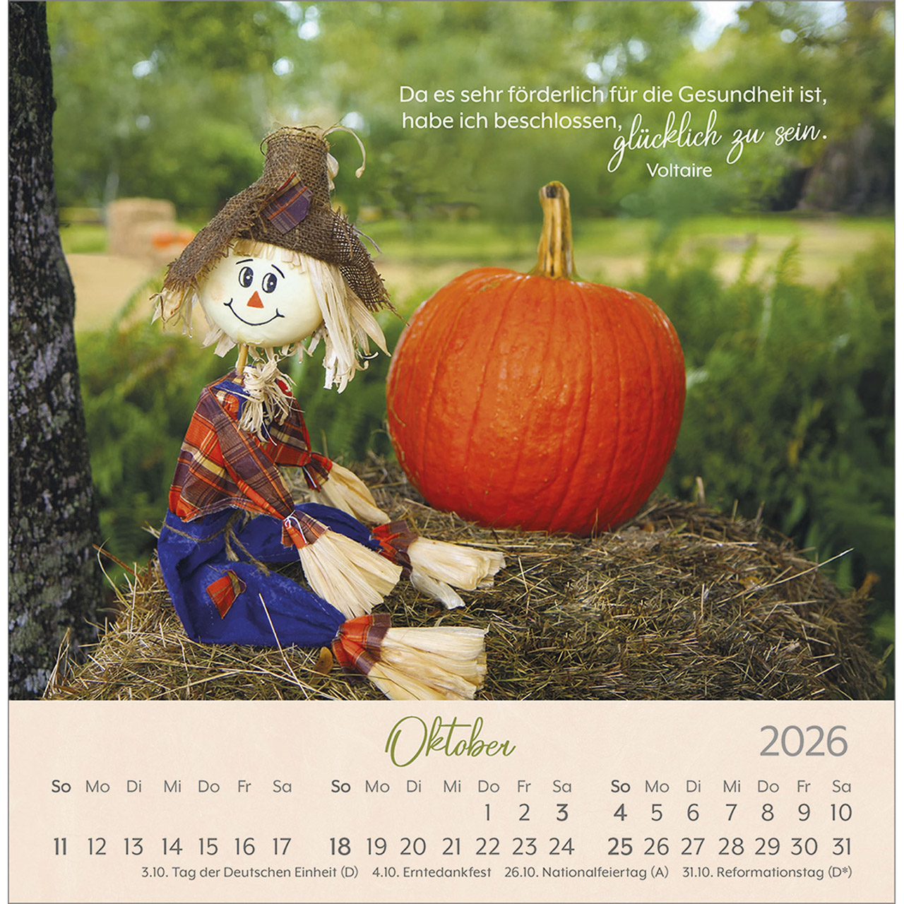 Postkartenkalender - Herzenswünsche 2026