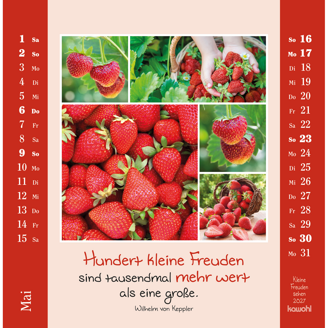 Postkartenkalender - Kleine Freuden sehen 2027