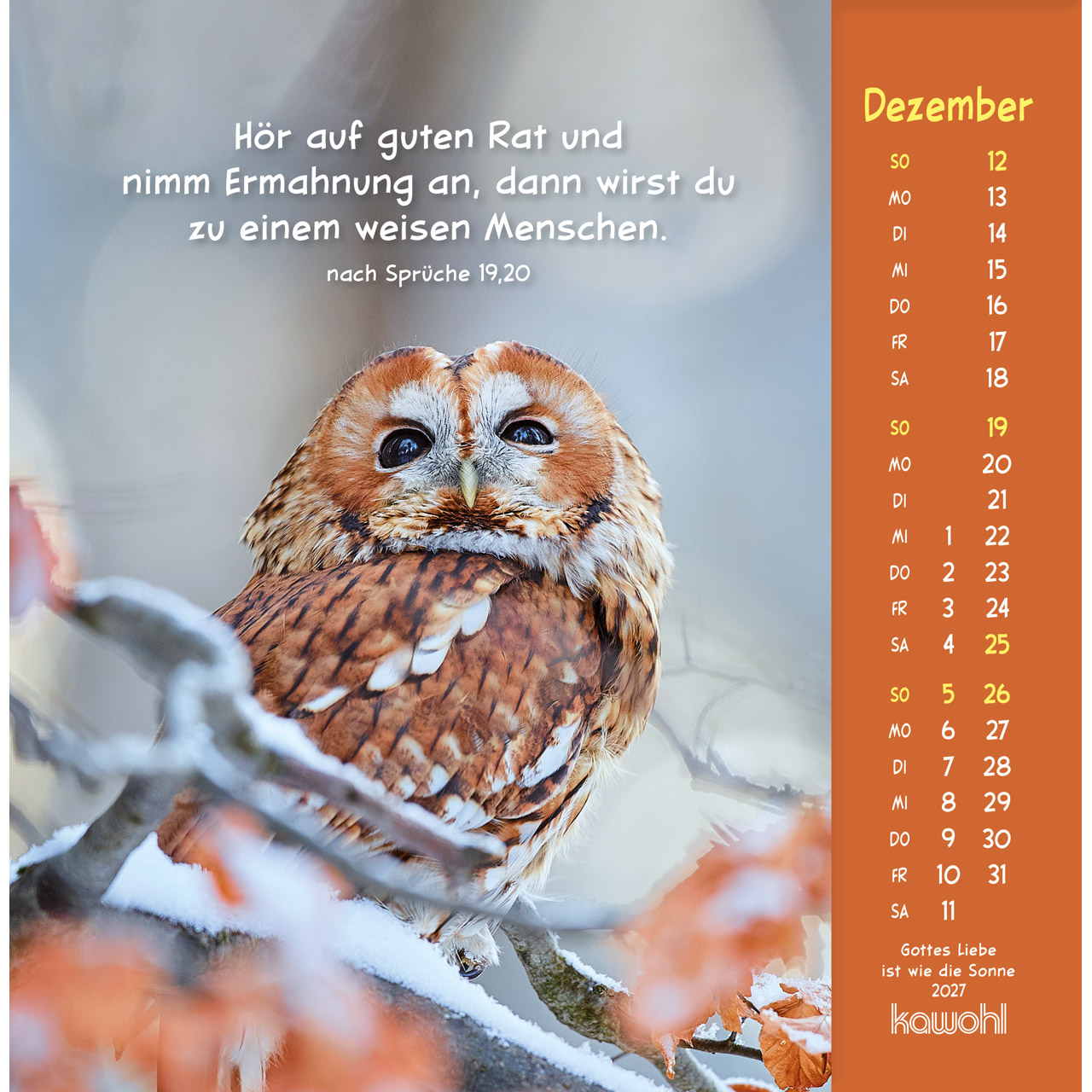Postkartenkalender - Gottes Liebe ist wie die Sonne 2027