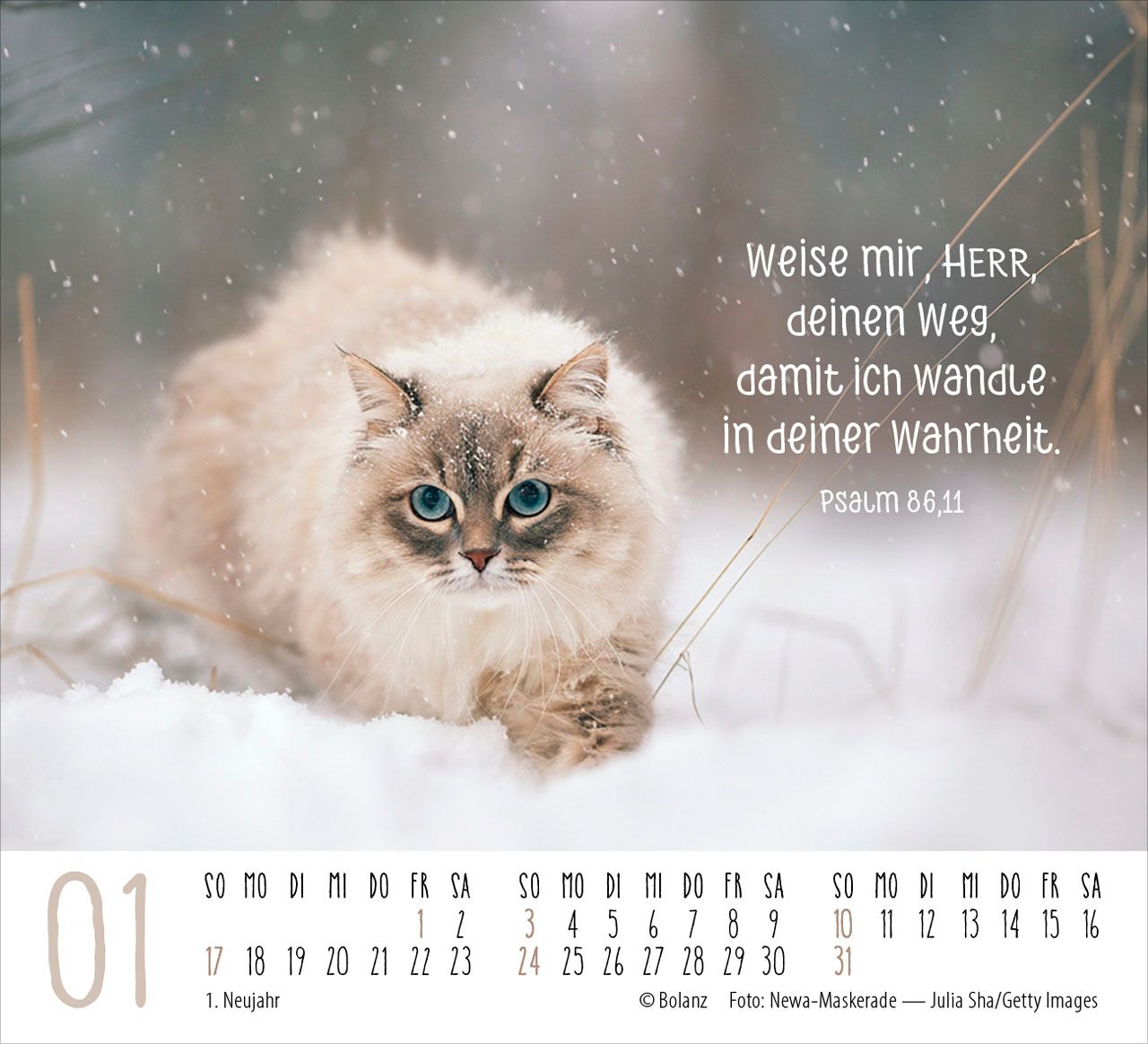 Aufstellkalender - Katzen 2027