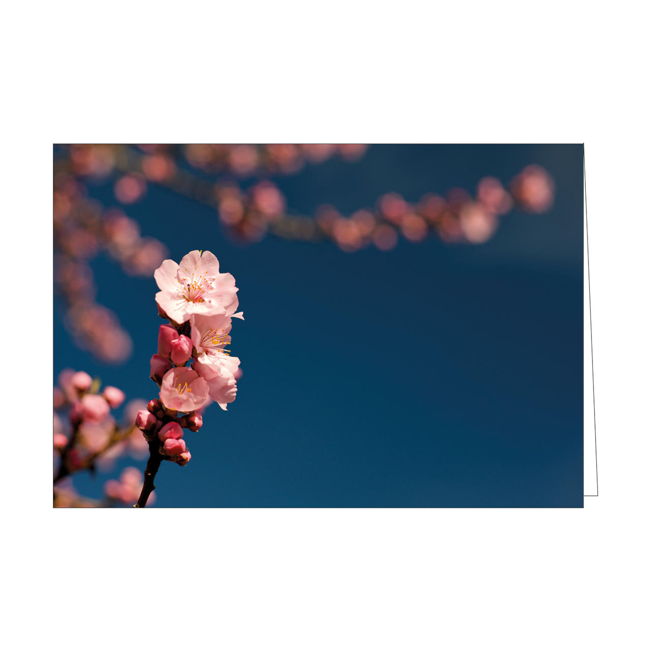 Faltkarten-Serie - Faltkartenserie Israel