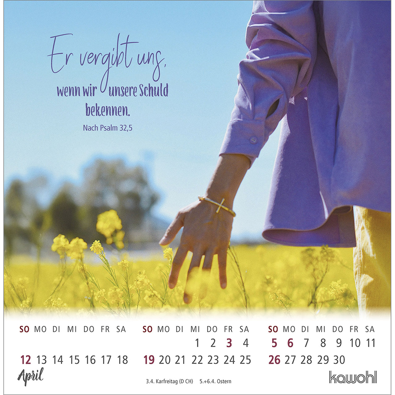 Postkartenkalender - Ankommen & leben 2026