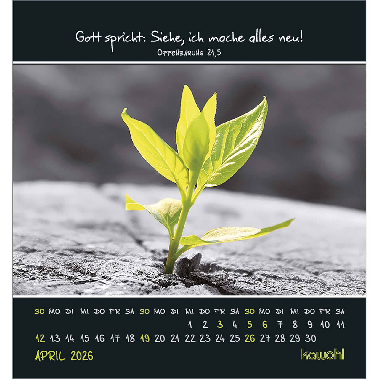 Tischkalender - Freu dich an kleinen Wundern 2026