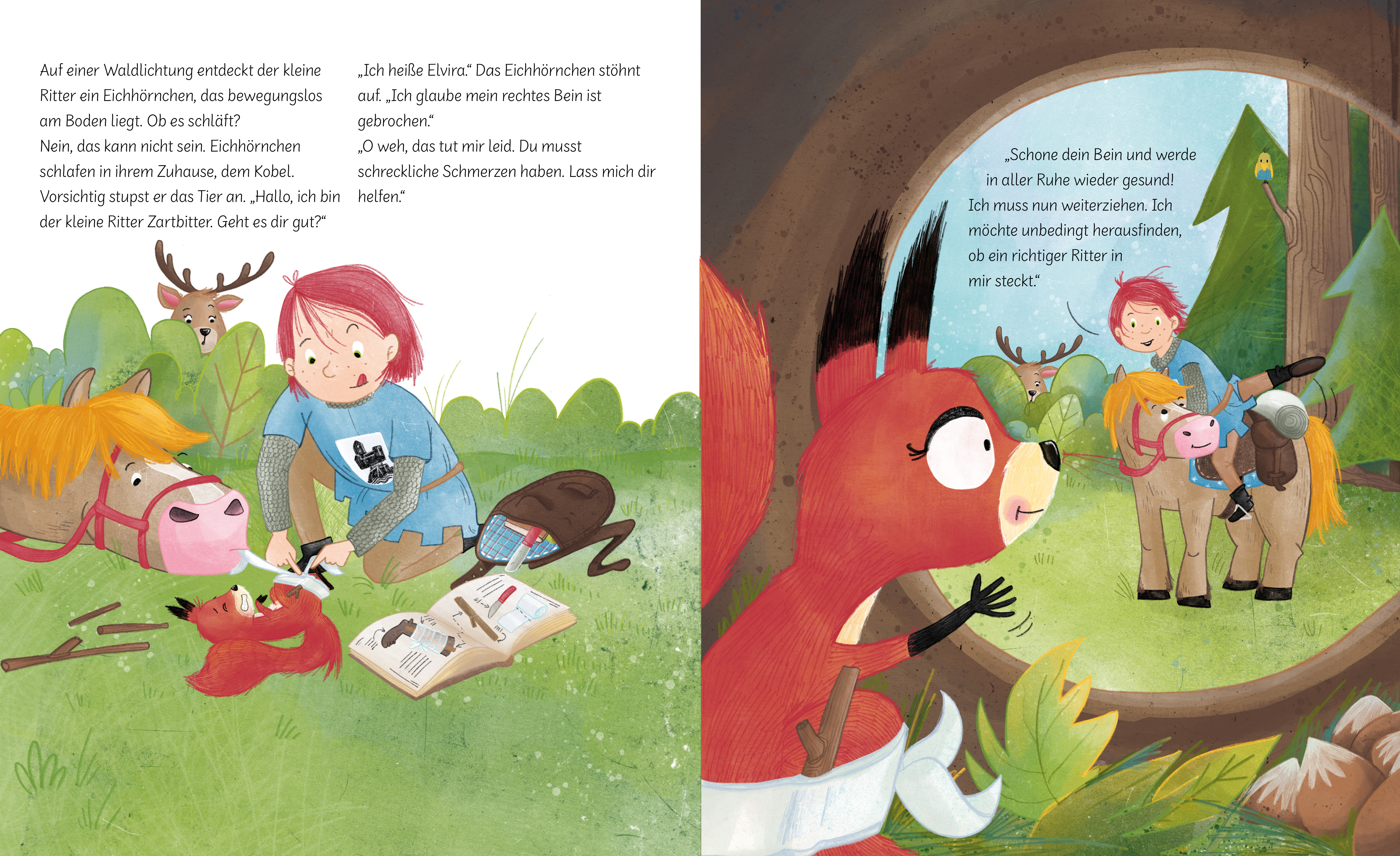 Buch - Der kleine Ritter Zartbitter