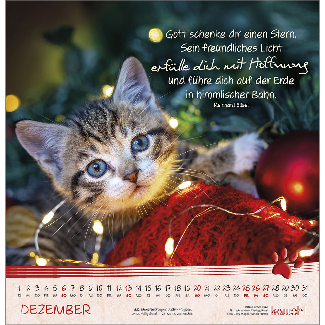 Wandkalender - Katzen-Tatzen 2026