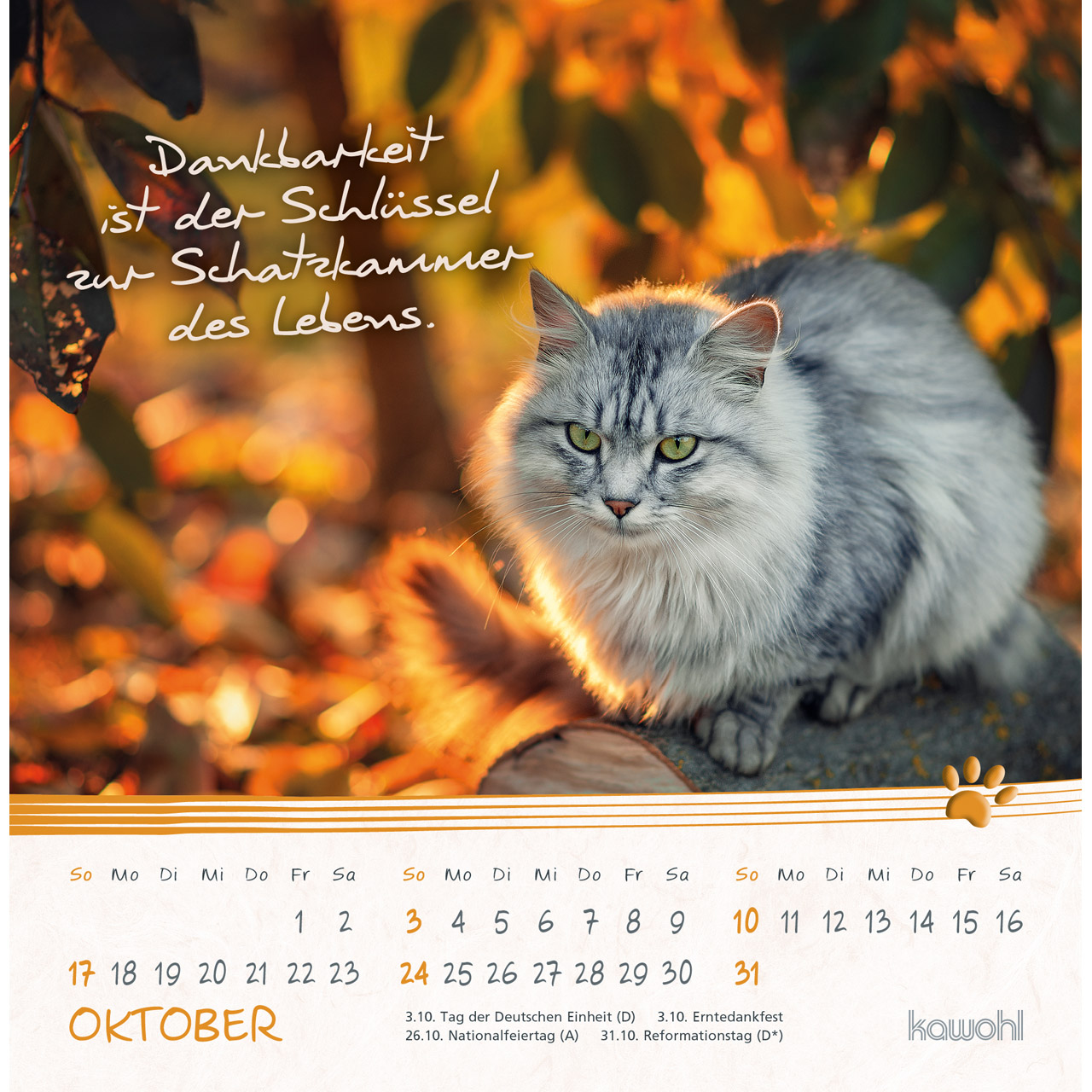 Postkartenkalender - Kleine Katzen-Tatzen 2027