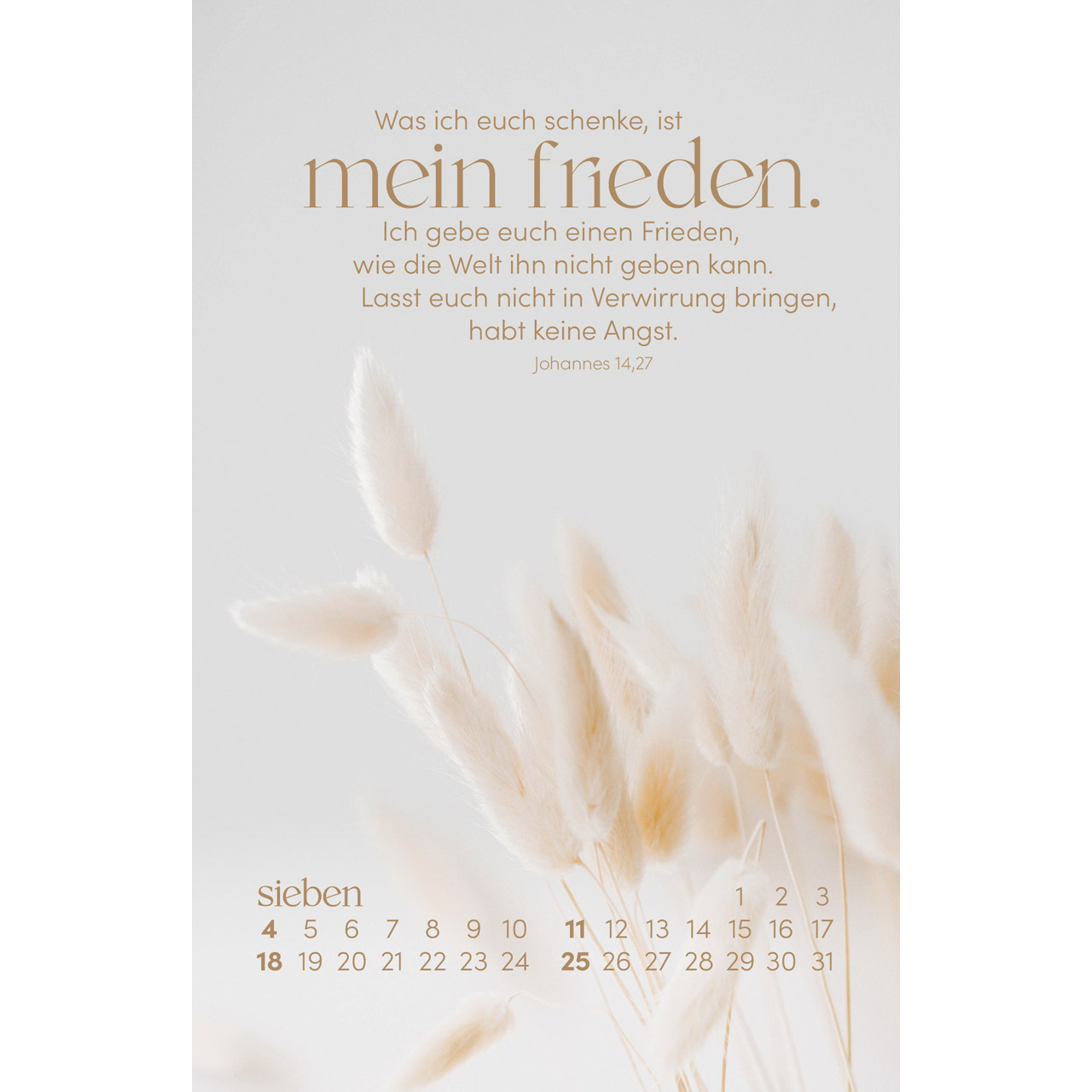 Postkartenkalender - Sein Wort. Dein Fels. 2027