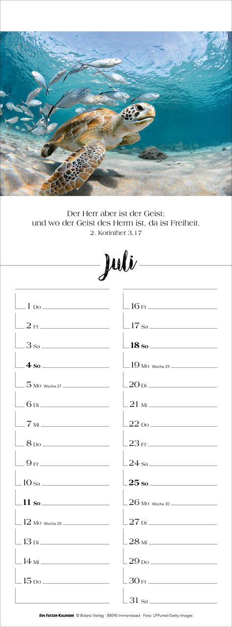 Terminkalender - Denk dran 2027