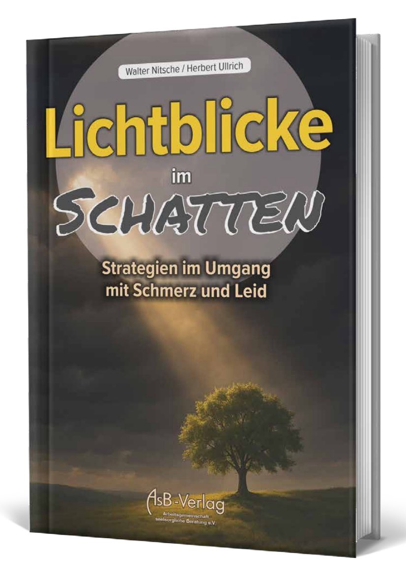 Buch - Lichtblicke im Schatten