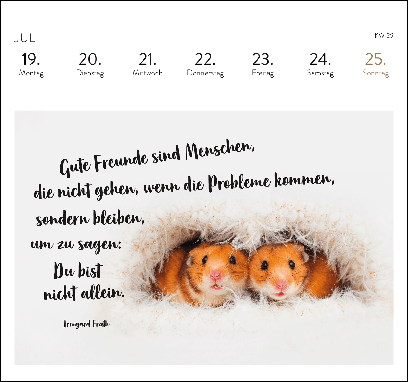 Postkartenkalender - Eine kleine Umarmung für jeden Tag 2027