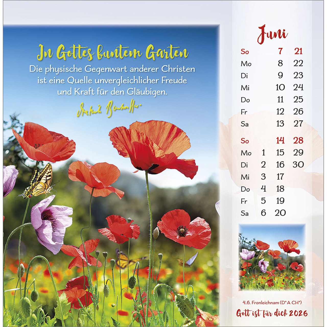 Postkartenkalender - Gott ist für dich 2026