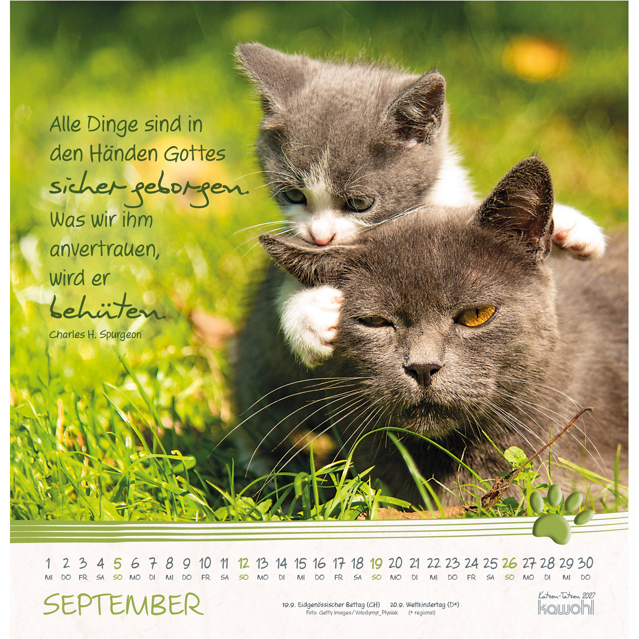 Wandkalender - Katzen-Tatzen 2027