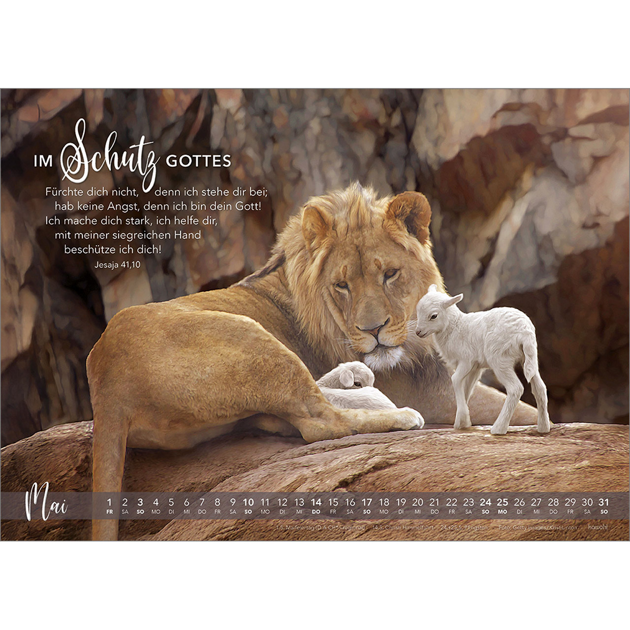 Wandkalender - Die Liebe bleibt 2026
