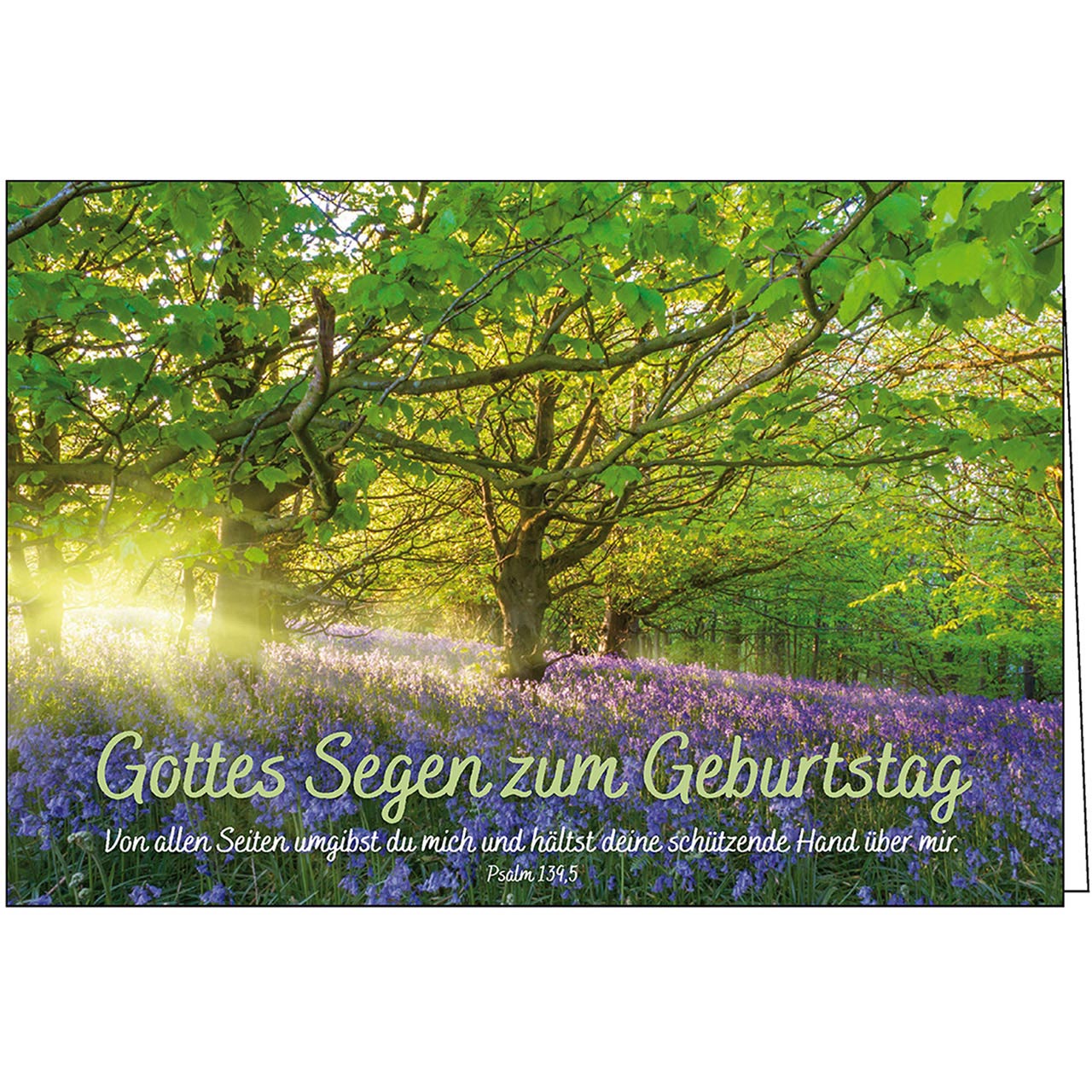 Gottes Segen zum Geburtstag