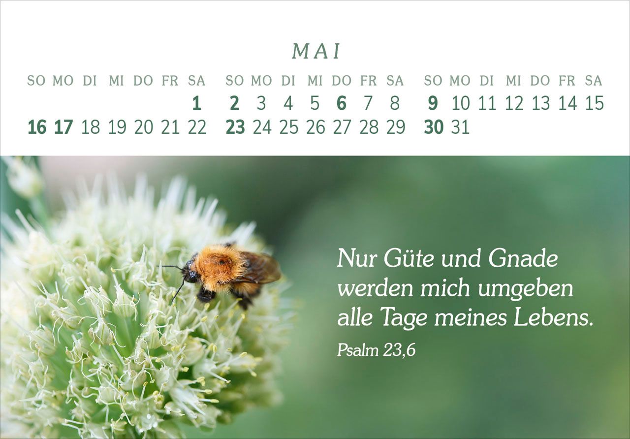 Panoramakalender - Das Geschenk der Freude 2027