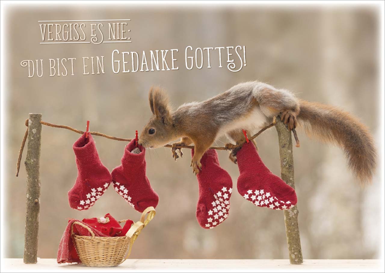 Postkarten - Postkarte 'Du bist ein Gedanke Gottes' 12 Ex. - Eichhörnchen Wäscheleine Socken Korb