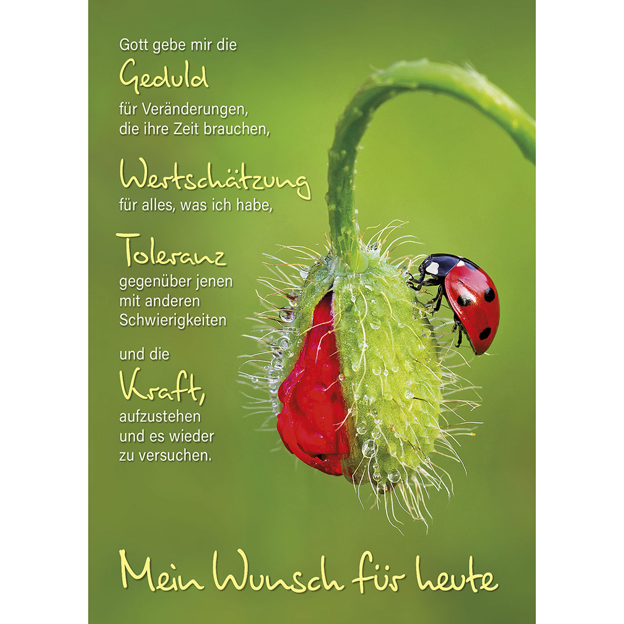 Gott gebe mir die Geduld Gott gebe mir die Geduld