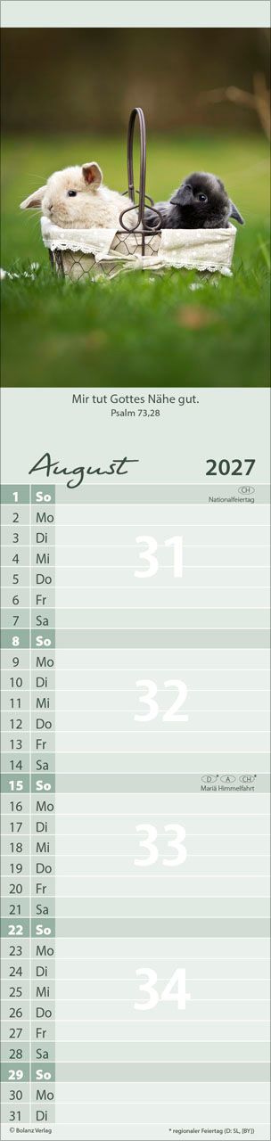 Terminkalender - Für Euch 2027 Streifenterminkalender