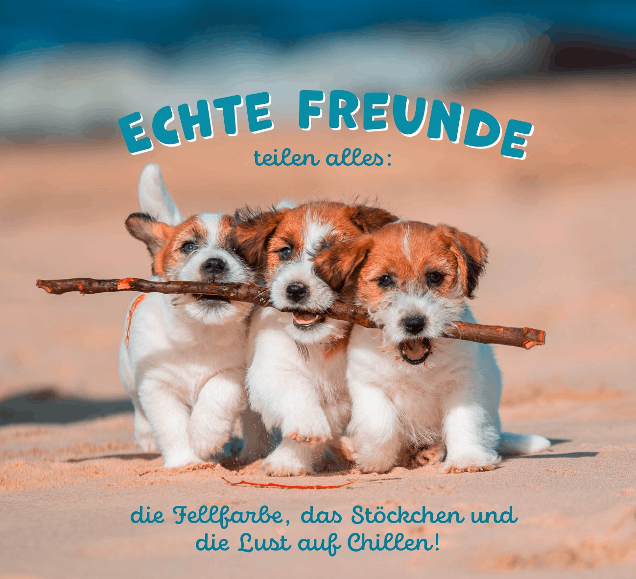 Aufstellbuch - Tierisch happy jeden Tag