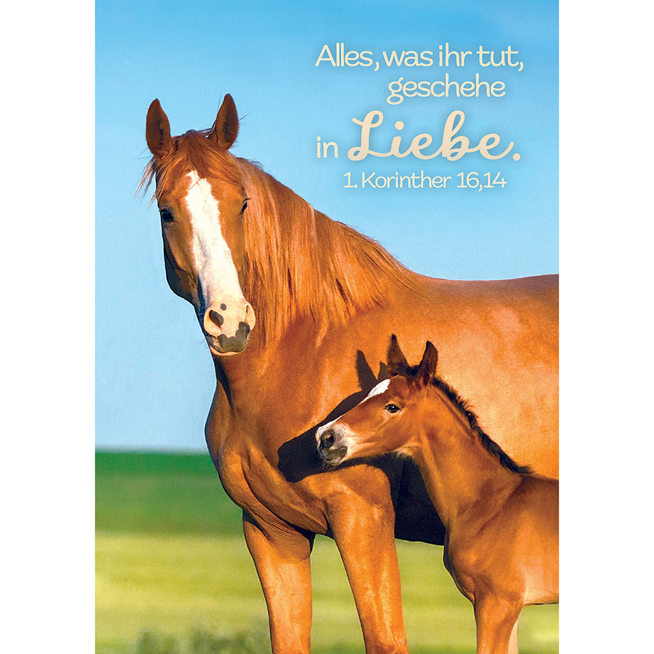 Alles, was ihr tut, geschehe in Liebe