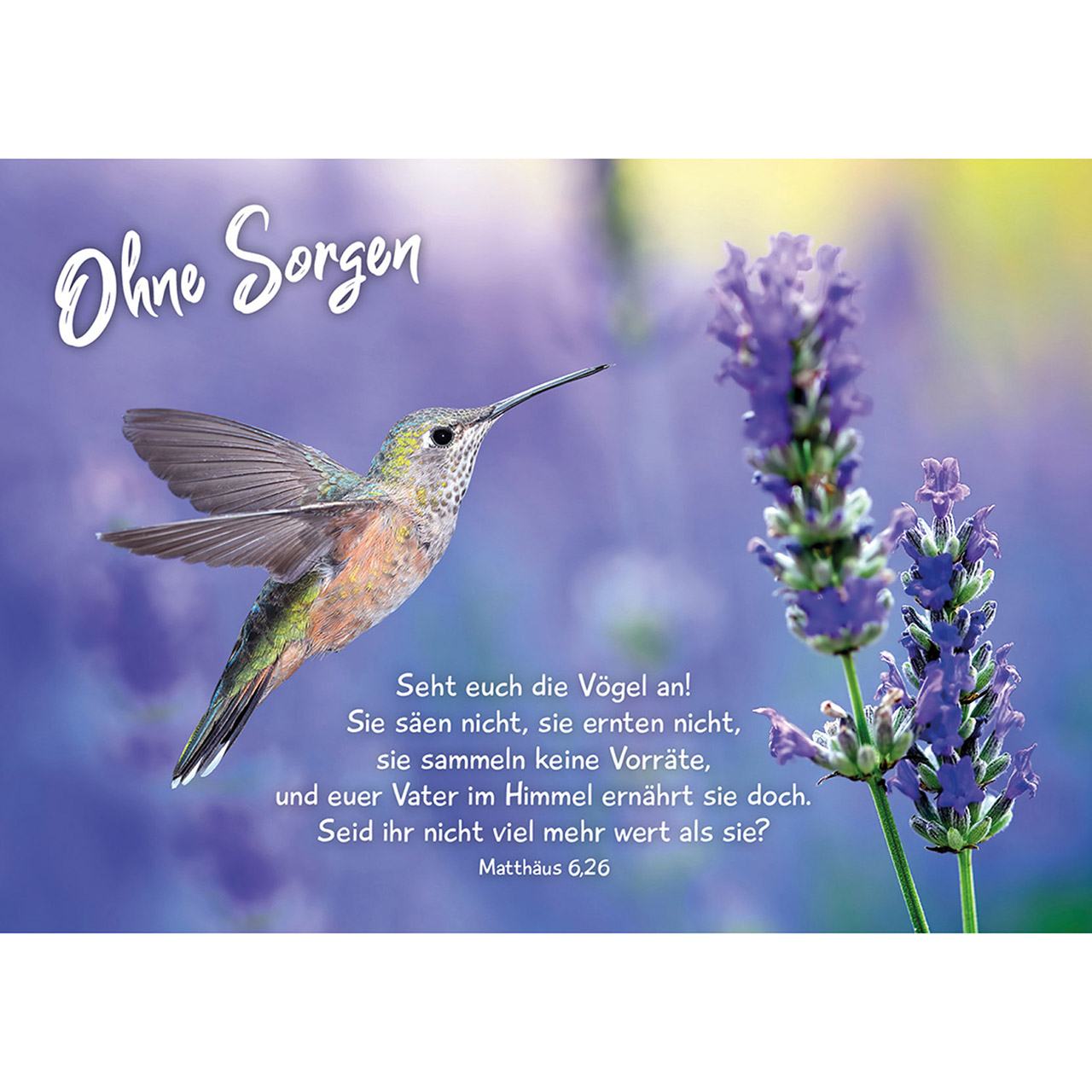 Karten-Aufstell-Etui - Ich wünsche dir Rückenwind - Meer Strand Vogel