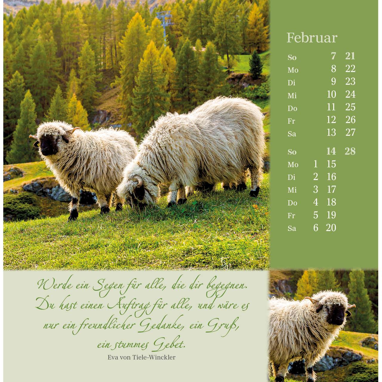 Postkartenkalender - Sei behütet und gesegnet 2027