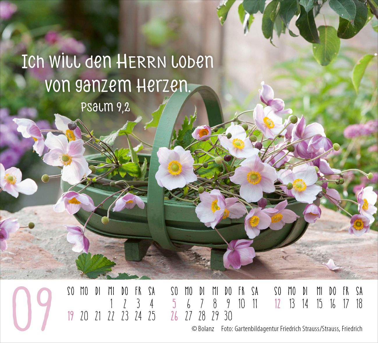 Aufstellkalender - Harmonien für die Seele 2027 Minikalender