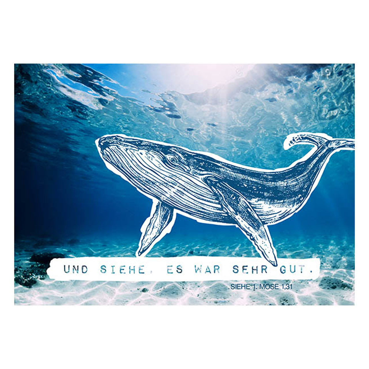 Postkarte - Postkarte 'Wal'  1EX - Meer Wal