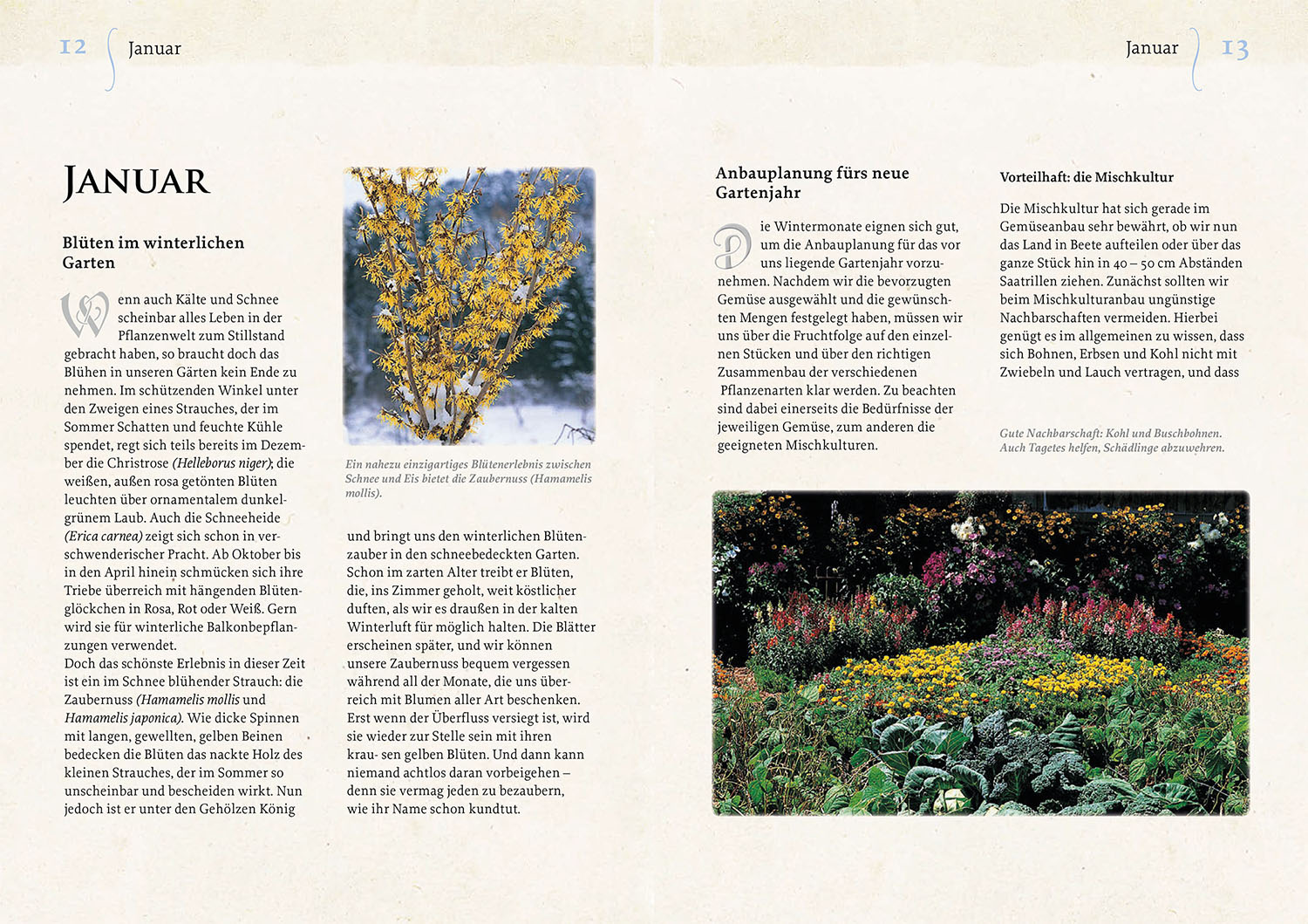 Buch - Geheimnisse aus dem Klostergarten